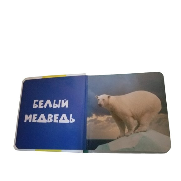 Children's Book | 10 Animals | Zhivotnye | Foto-kniga | Russian Edition - Picture 5 of 16